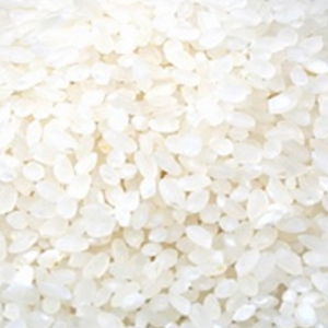 백마 쌀 10kg